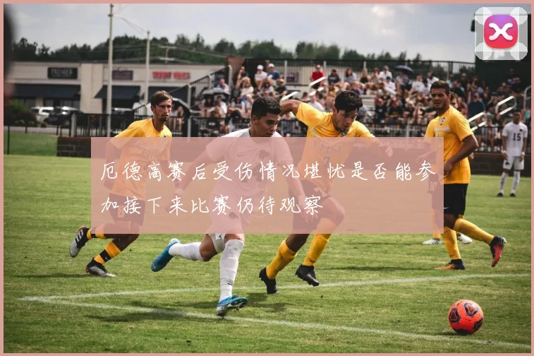 厄德高赛后受伤情况堪忧是否能参加接下来比赛仍待观察