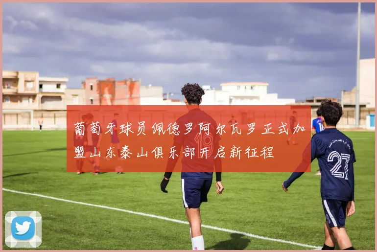 葡萄牙球员佩德罗阿尔瓦罗正式加盟山东泰山俱乐部开启新征程